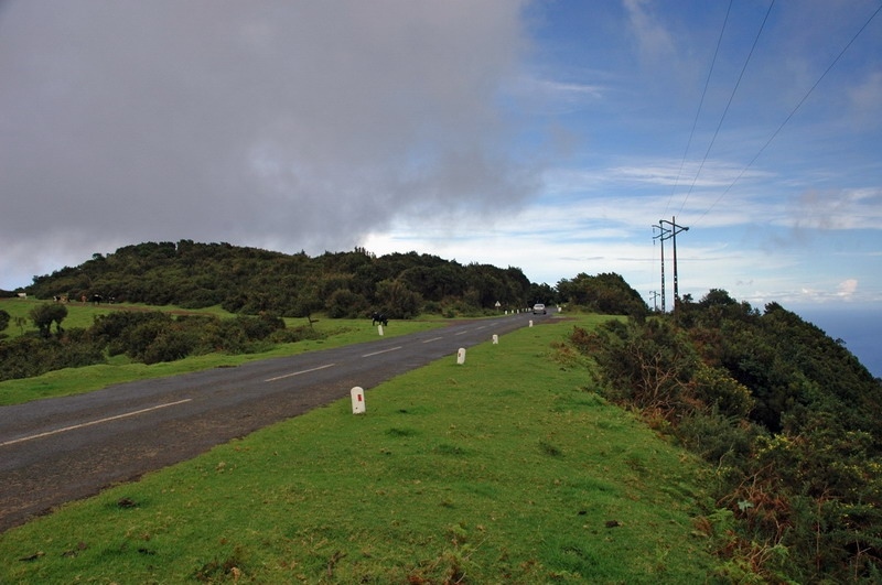 madeira_nov06-162