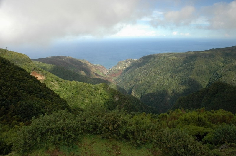 madeira_nov06-167
