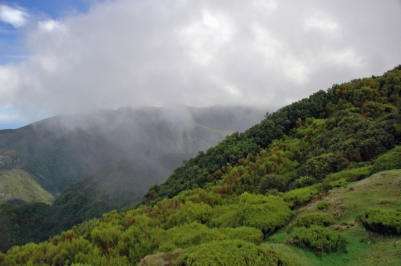madeira_nov06-168