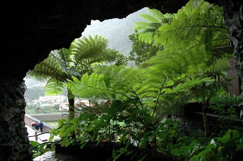 madeira_nov06-195