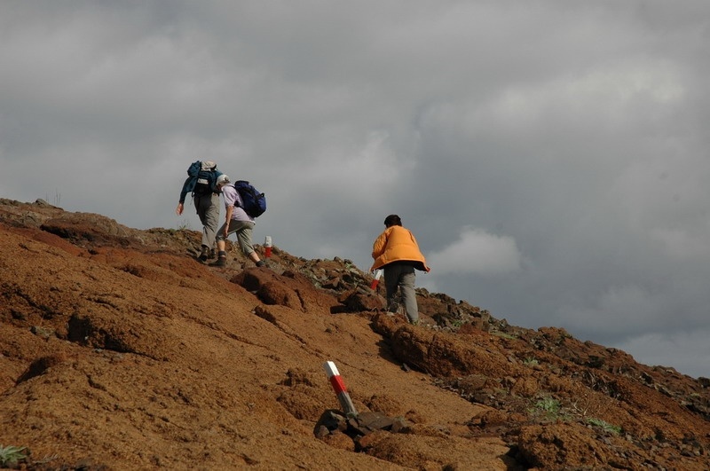 madeira_nov06-202