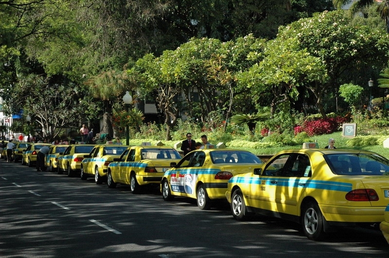 madeira_nov06-264