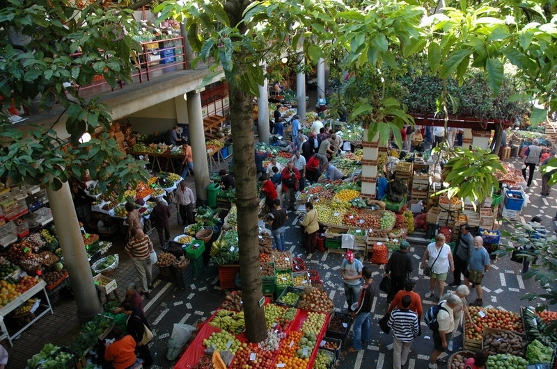 madeira_nov06-277
