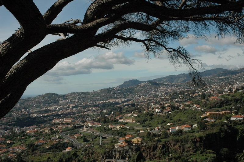madeira_nov06-341
