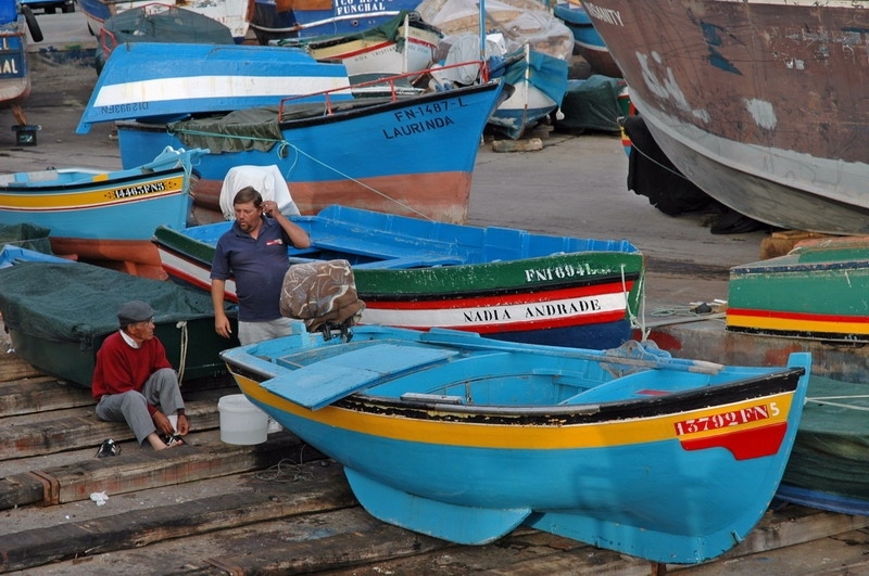 madeira_nov06-372
