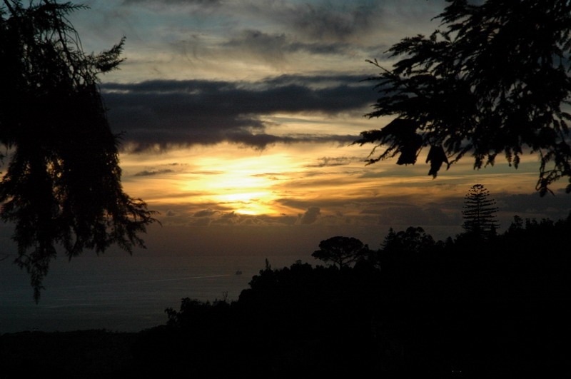 madeira_nov06-401