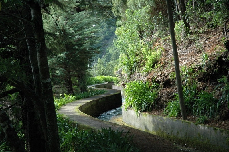 madeira_nov06-413