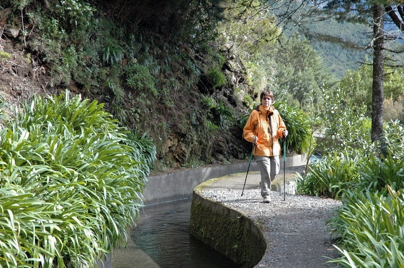 madeira_nov06-417