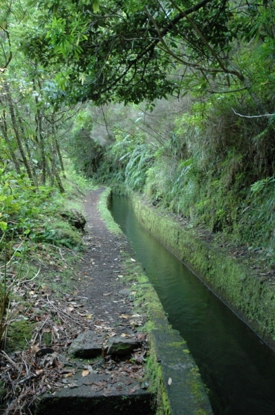 madeira_nov06-421