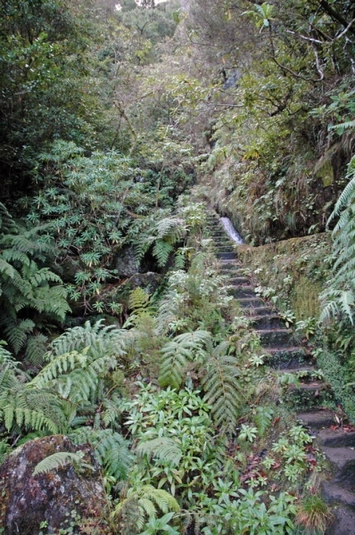 madeira_nov06-425