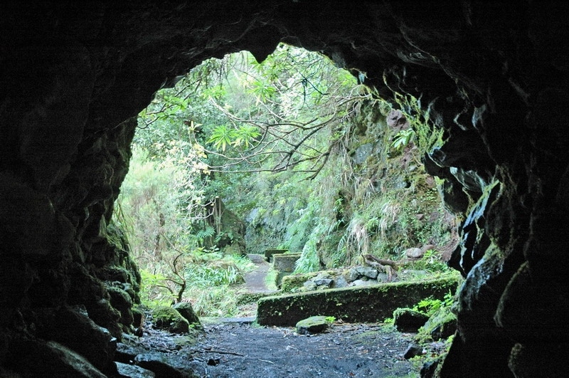 madeira_nov06-428