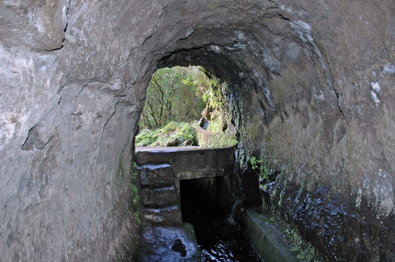 madeira_nov06-441