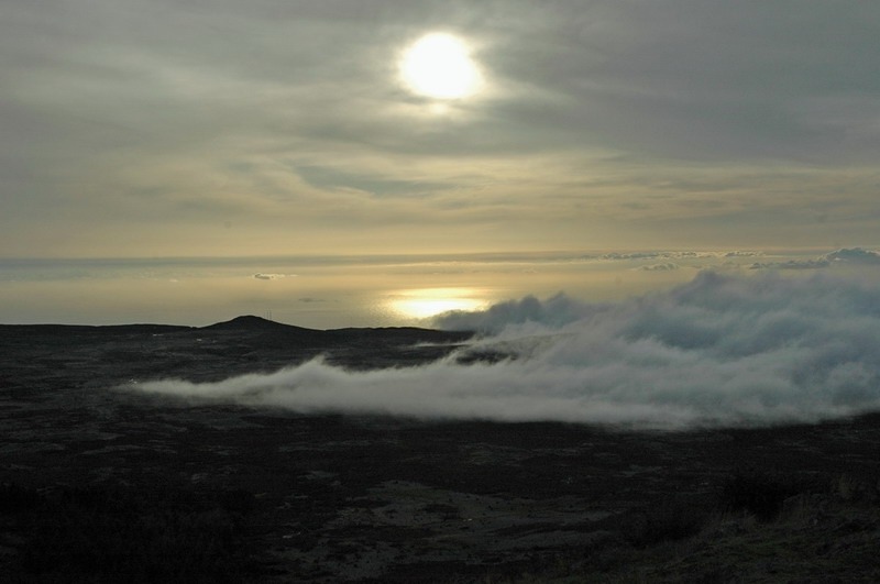 madeira_nov06-471