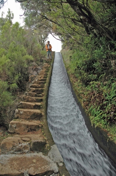 madeira_nov06-472