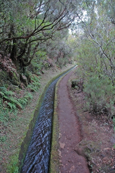 madeira_nov06-478