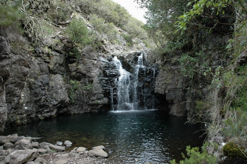 madeira_nov06-482