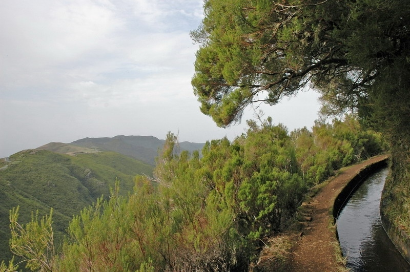 madeira_nov06-494_