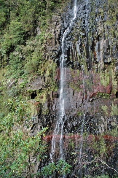 madeira_nov06-502