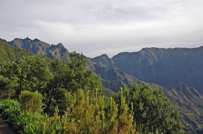 madeira_nov06-509