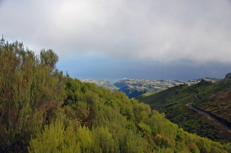 madeira_nov06-511