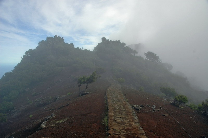madeira_nov06-516