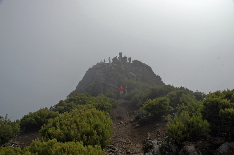 madeira_nov06-528