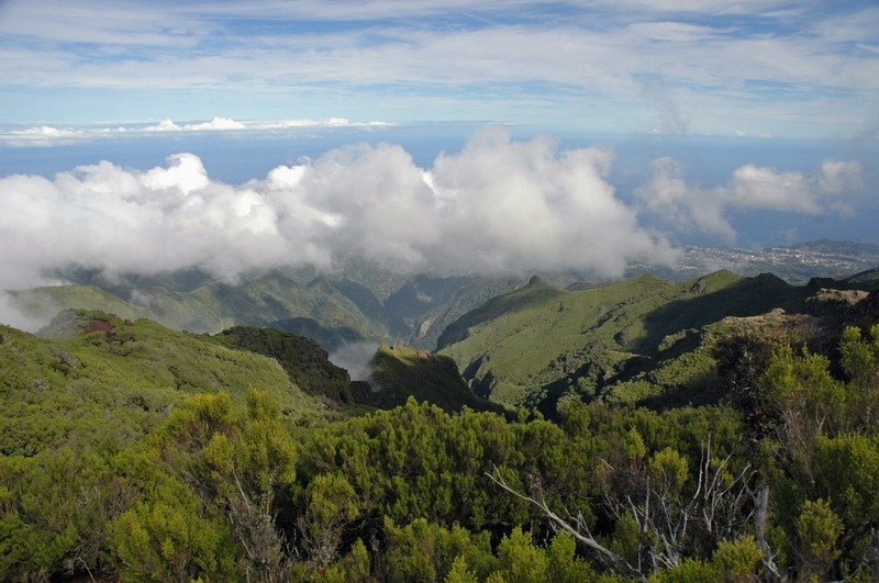 madeira_nov06-536