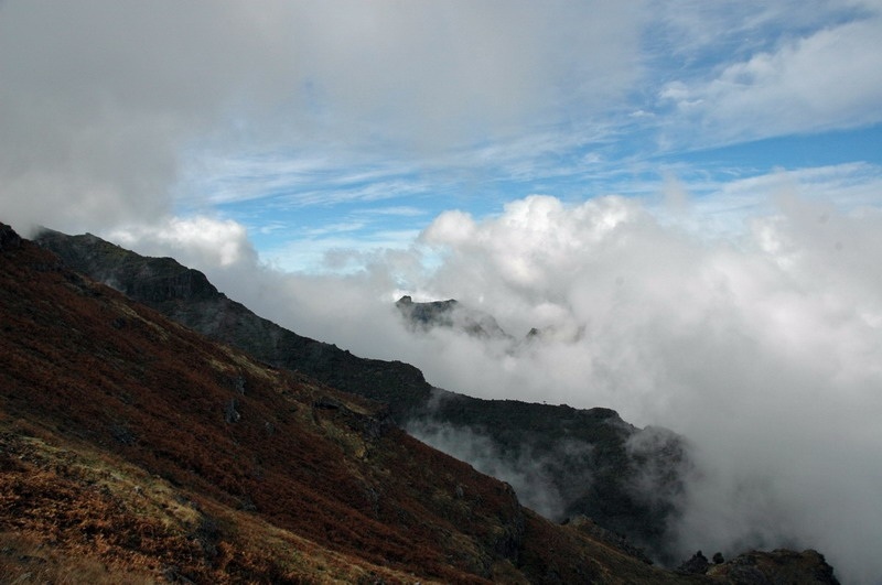 madeira_nov06-540