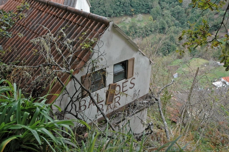 madeira_nov06-561