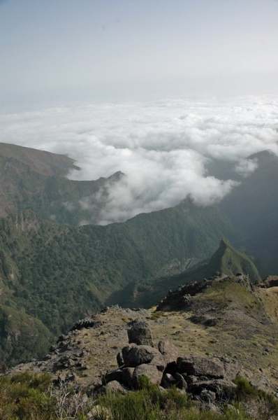 madeira_nov06-572