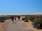 argentinien-2011-0524-punta-tombo
