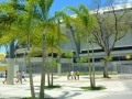 16-rio-3004-amazonien-2013