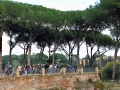 Rom-2019-17-Palatin-Forum-Romanum-0475