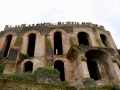 Rom-2019-17-Palatin-Forum-Romanum-0482