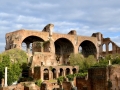 Rom-2019-17-Palatin-Forum-Romanum-0483