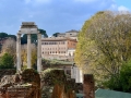 Rom-2019-17-Palatin-Forum-Romanum-0488