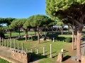 Rom-2019-23-Ostia-antica-0785-2