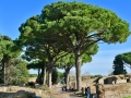 Rom-2019-23-Ostia-antica-0805