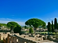 Rom-2019-23-Ostia-antica-0815