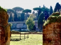 Rom-2019-27-Terme-di-Caracalla-0974