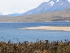 argentinien-2011-2113-torres-del-paine
