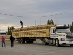 argentinien-2011-2121-fahrt-el-chalten
