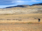 argentinien-2011-2139-fahrt-el-chalten