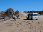 tag-15-gabus-0735