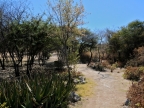 tag-15-gabus-0747