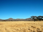 tag-16-gabus-0777