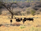 tag-17-windhoek-149