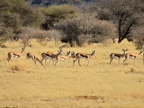 tag-17-windhoek-152
