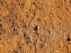 tag-17-windhoek-153
