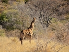 tag-17-windhoek-154